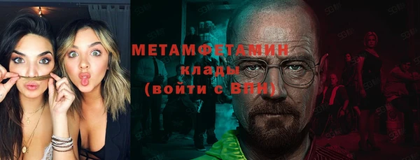 прущие грибы Белокуриха