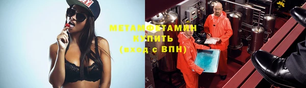 индика Балабаново