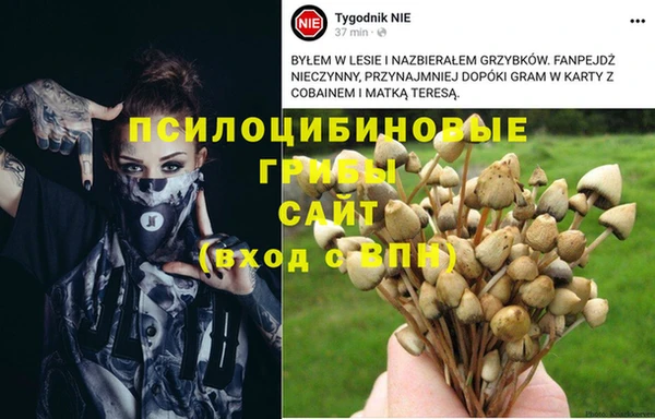 первитин Балахна