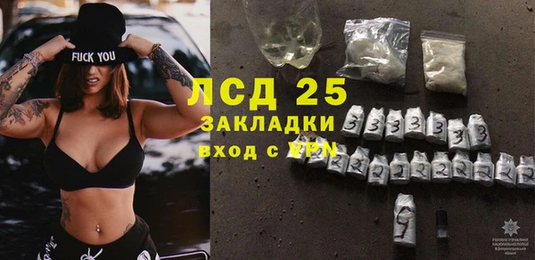 индика Балабаново