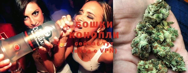 прущие грибы Белокуриха