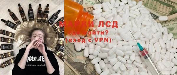 прущие грибы Белокуриха