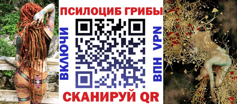 Купить  Саянск  Псилоцибиновые грибы ЛСД 